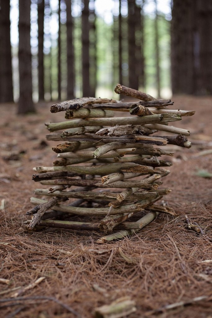 El Palo de Pastor: Herramienta Histórica de los Pastores