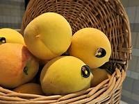 Melocoton de Calanda