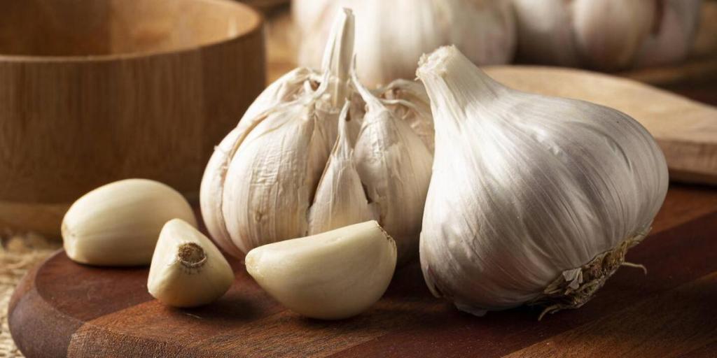 Ajo en polvo (Allium sativum)