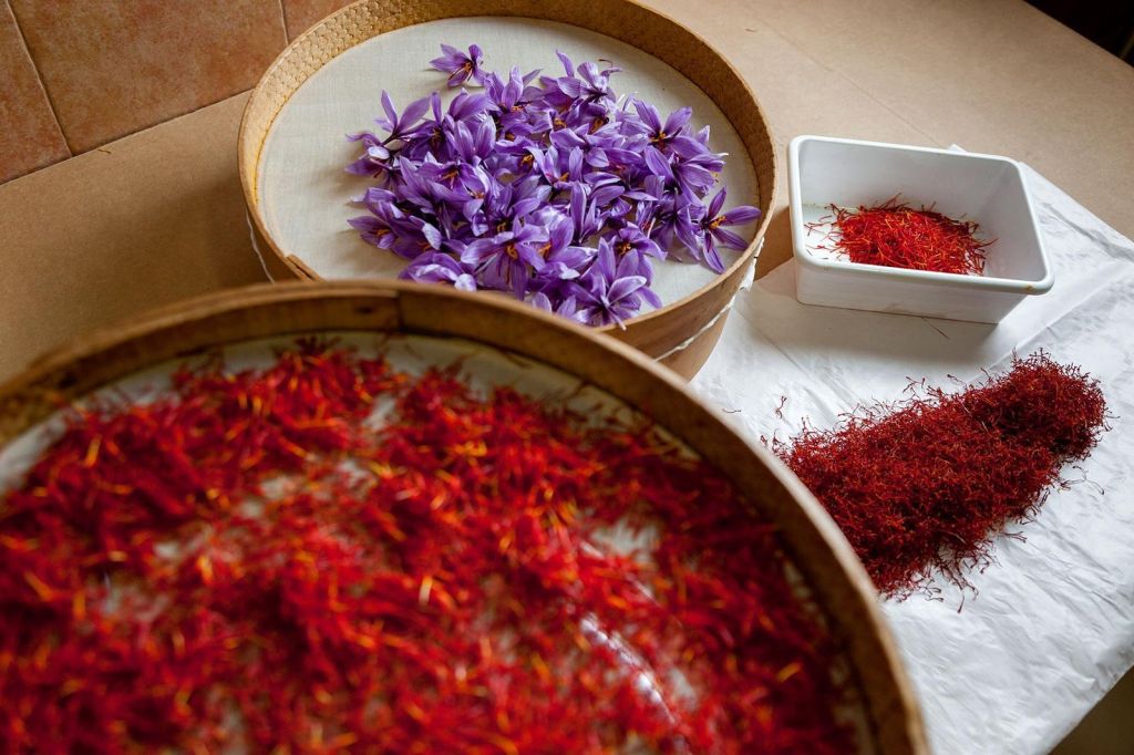 Azafrán (Crocus sativus) – hebras