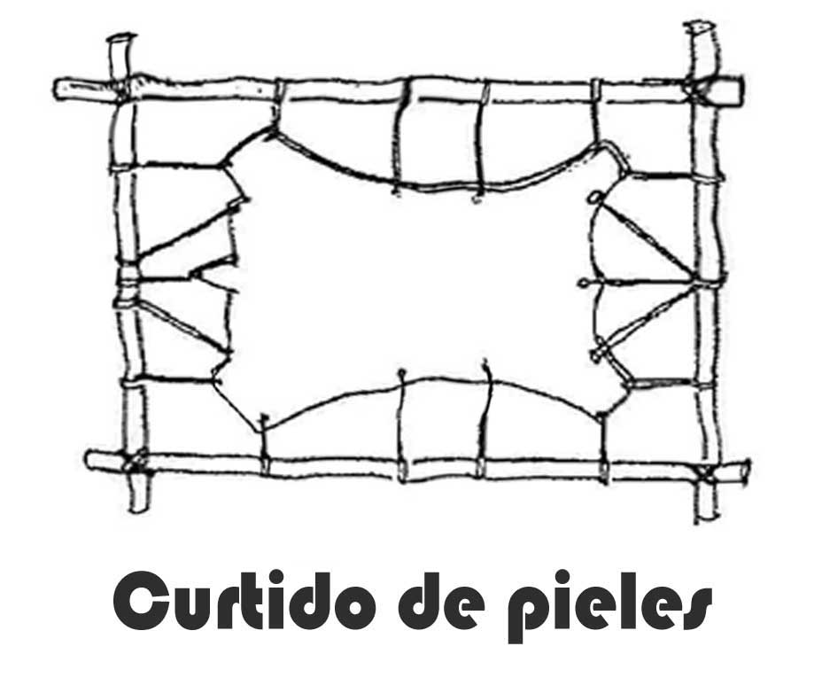 Guía Completa para Curtir Pieles en la Naturaleza