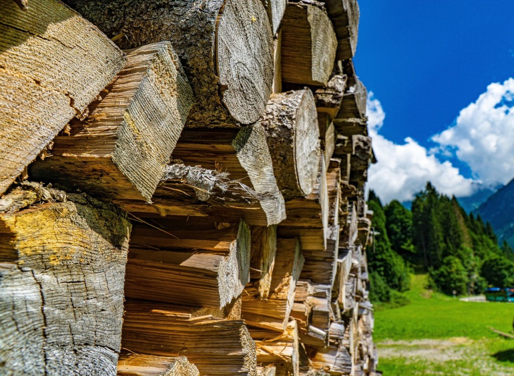 Cómo Elegir la Leña Ideal para Combustión Eficiente