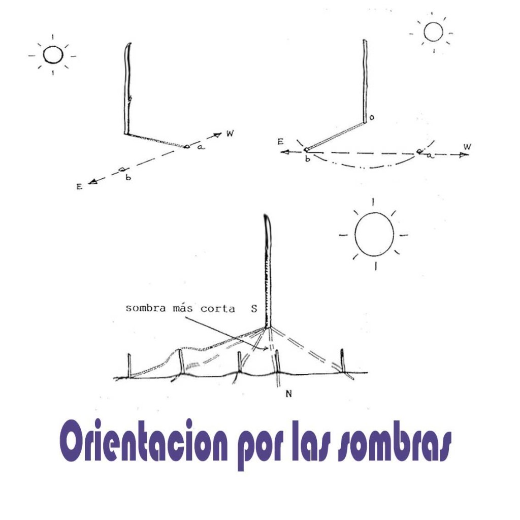 Cómo Orientarse con Sombras: Guía Rápida y Efectiva