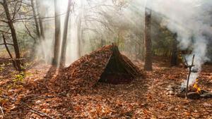 Qué habilidades específicas se aprenden en un taller de bushcraft