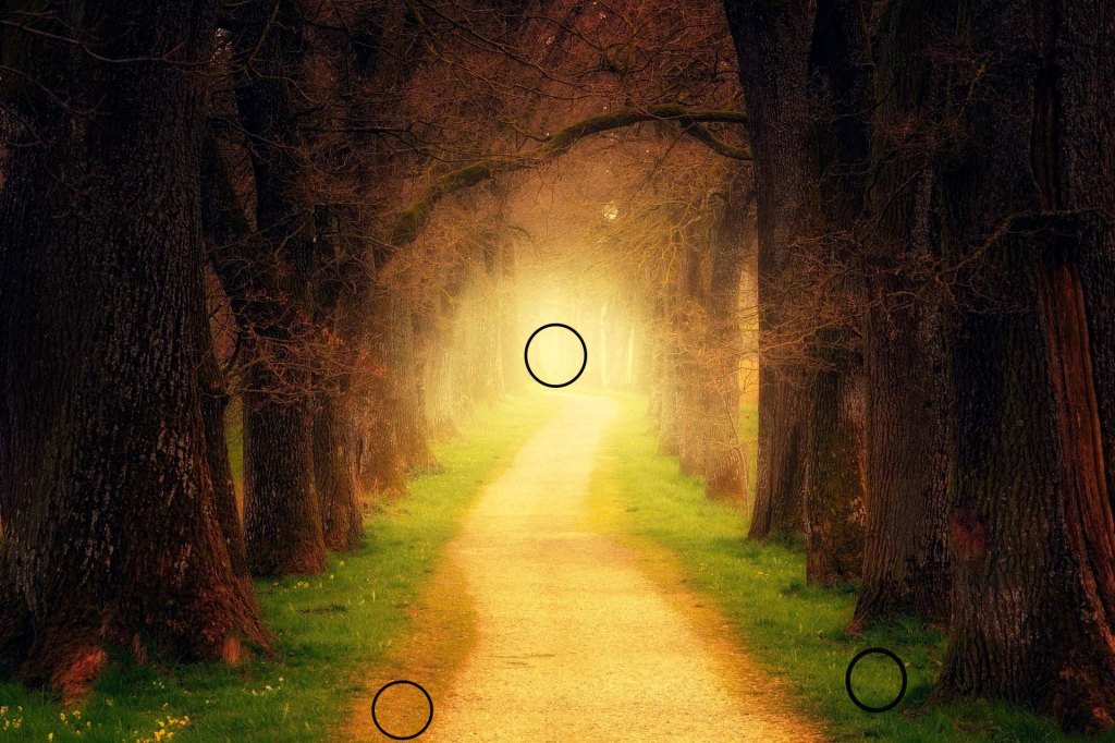 Guía Práctica de Mezclas de Colores