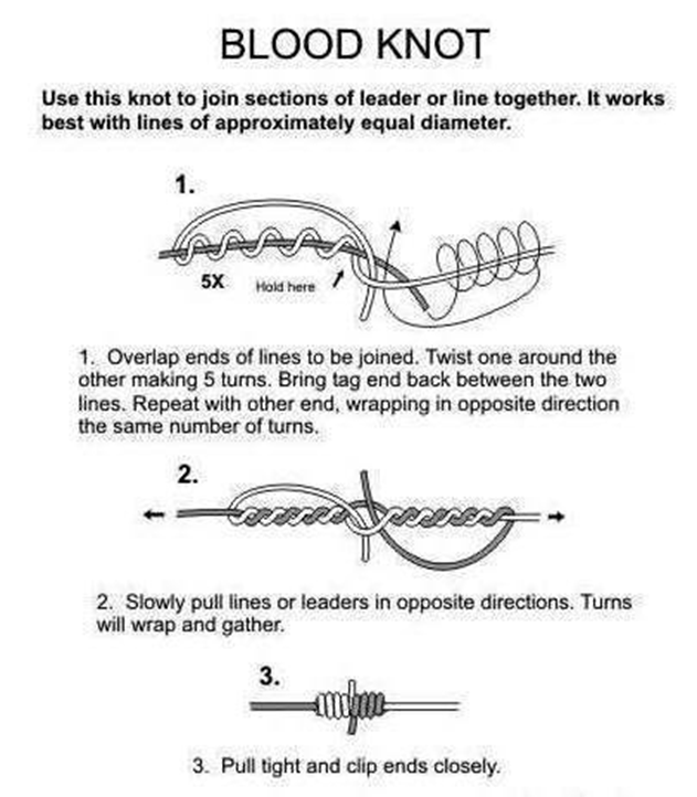 Nudo de Sangre (Blood Knot)