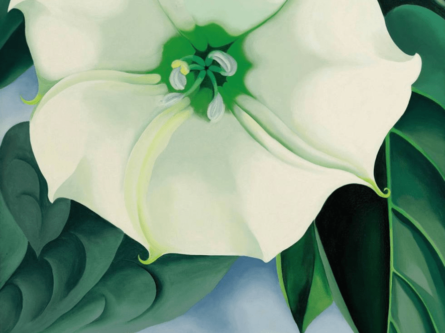 Érase una vez... Georgia O'Keeffe
