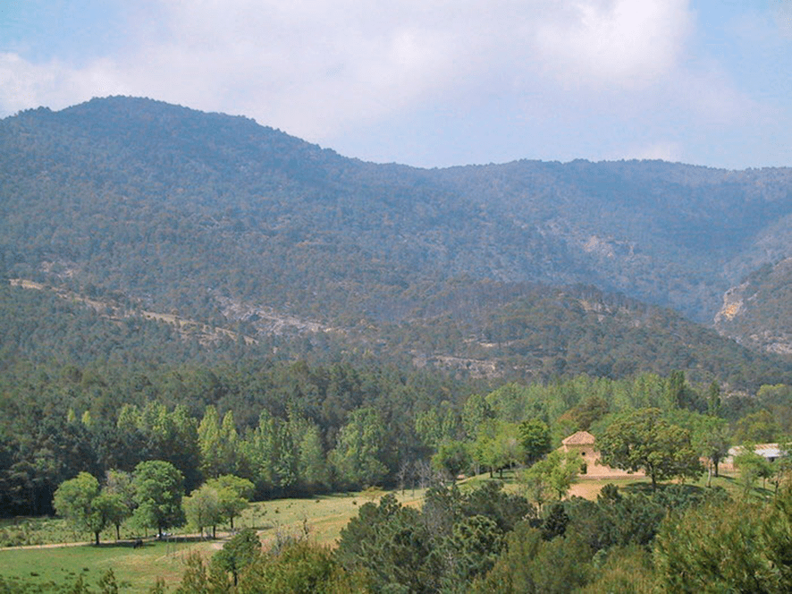 La Cueva de los Cuarenta Cántaros de Oro
