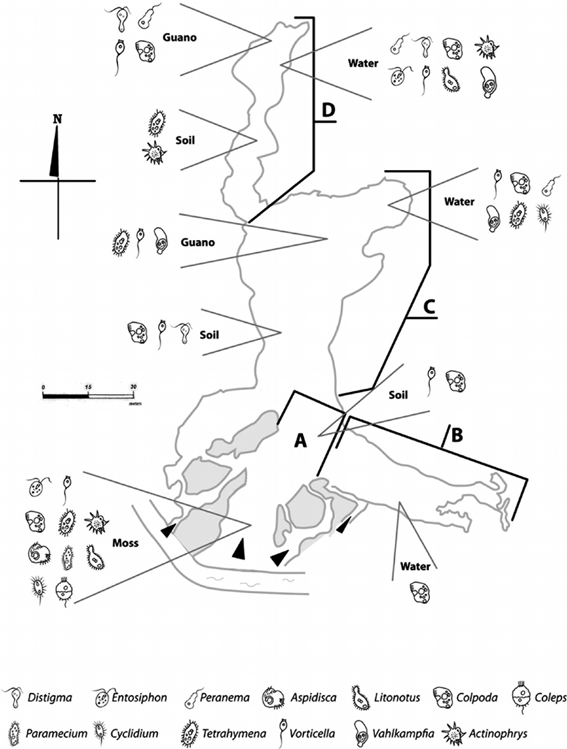 El Tesoro de la Cueva de los Riscos Dúrcal, Granada